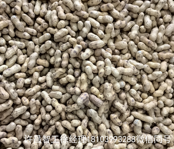 電磁炒花生果機