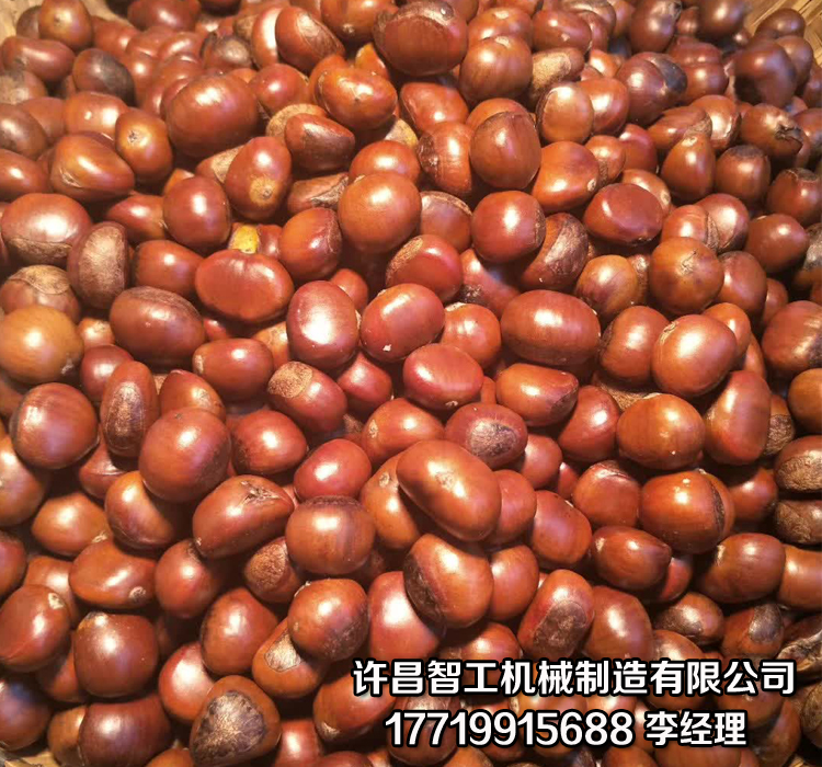 炒板粟機(jī)