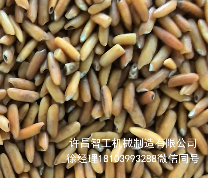 電磁炒貨機(jī)
